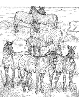 A coloring page of nature in africa